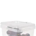 Läbipaistev kandiline KAAS 1500ml / 1,5L plastikarbile