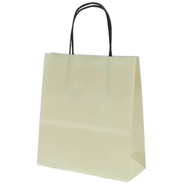 Spiraal pabersangadega elevandiluu värvi paberkott 19x8x21cm