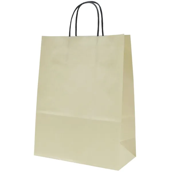 Spiraal pabersangadega elevandiluu värvi paberkott 24+11x31cm