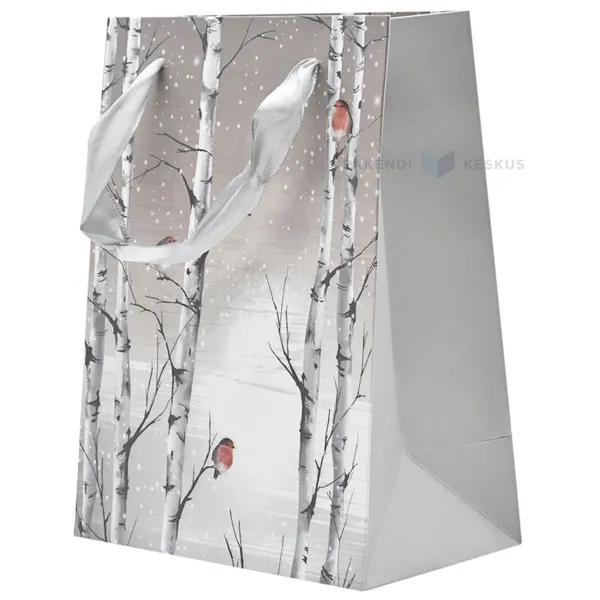 Paelsangaga kasepuude ja leevikestega kinkekott 18+10x23cm