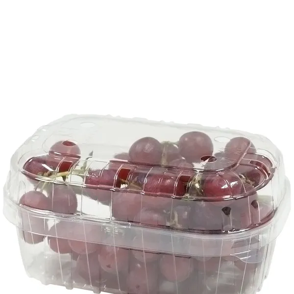 Läbipaistev kaas 500ml / 0,5L marjakarbile
