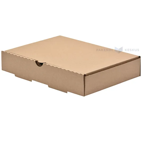 Minilainepappkarp kaanega 220x160x40mm
