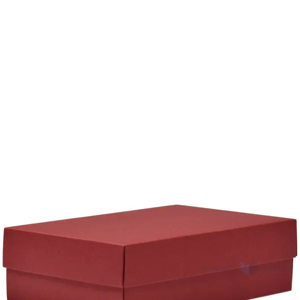 Veinipunane kaas kartongkarbile 266x172x78mm L