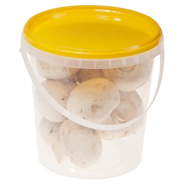 Transparent bucket with transparent lid with handle 770ml / 0,77L