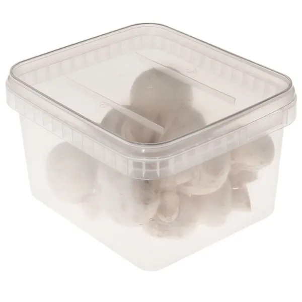 Muovirasia ,kirkas, 1500ml / 1,5L