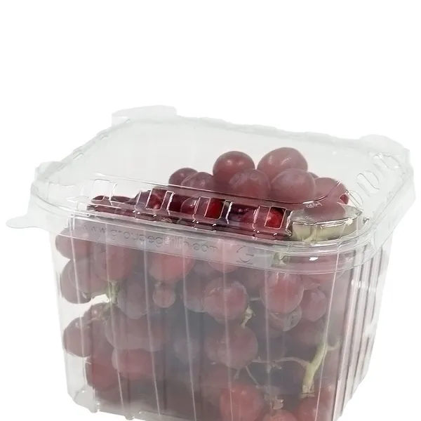 Läbipaistev kaas 1500ml / 1,5L marjakarbile