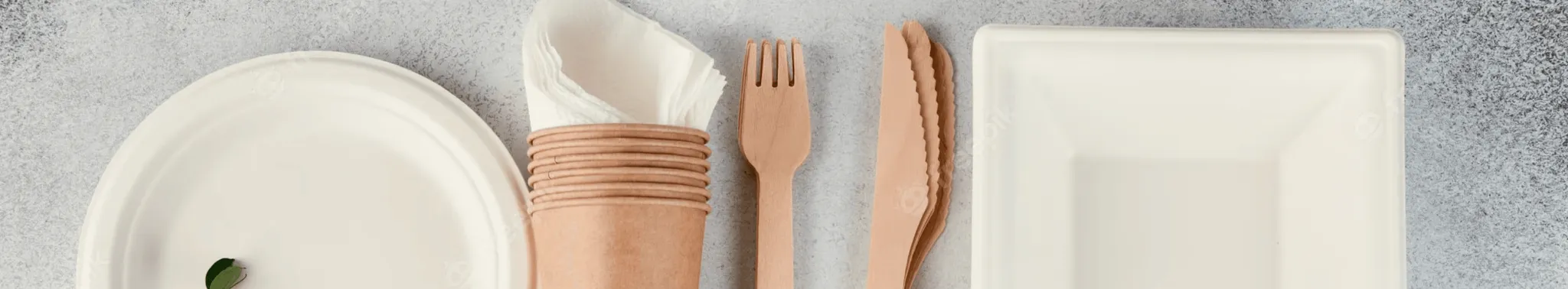 /s-fi/uploads/Disposable_Dishes_desktop_f284d07e65.png