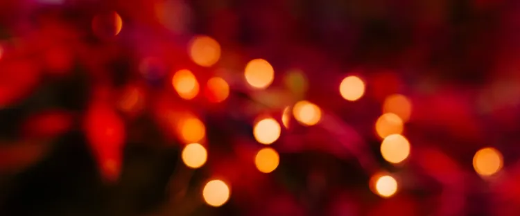 Lahtiolekuajad detsembris