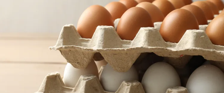 Munakarbi lugu ja 7 üllatavat fakti, mida sa ilmselt ei teadnud