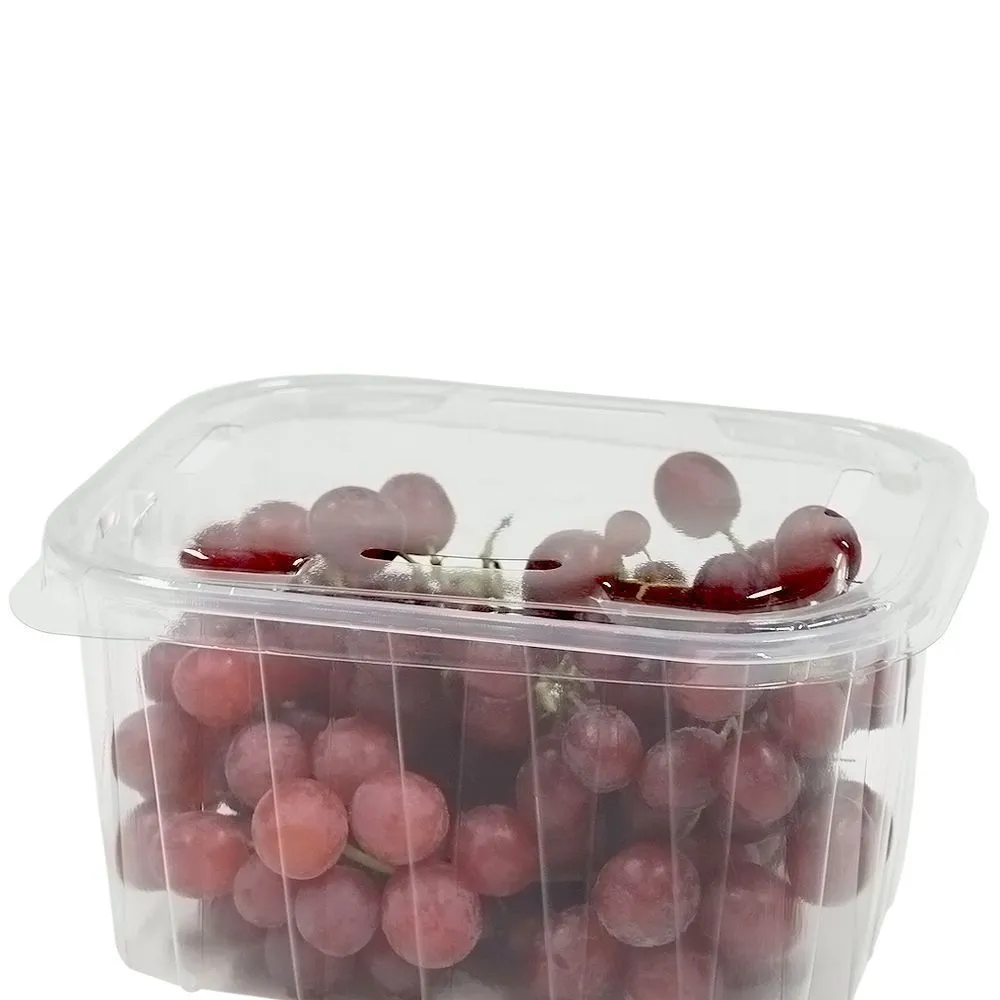 Transparent lid for 2000ml / 2L box for berries, 100pcs/pack