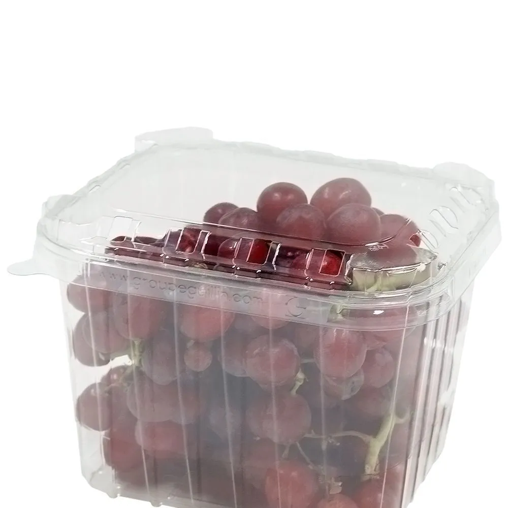 Läbipaistev kaas 1500ml / 1,5L marjakarbile