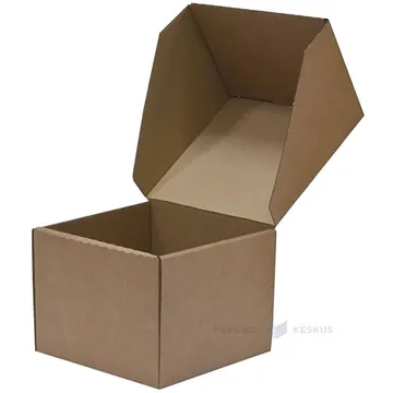Minilainepappkarp kaanega 150x140x110mm