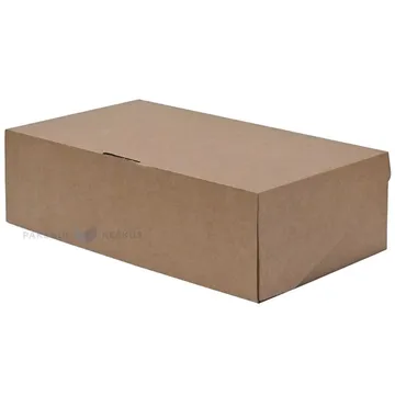 Mini corrugated carton box with lid 340x185x100mm