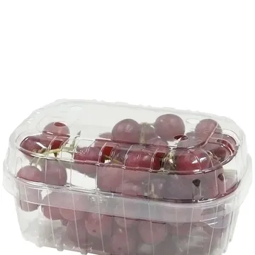 Läbipaistev kaas 500ml / 0,5L marjakarbile