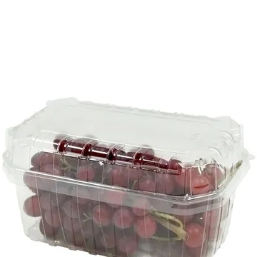 Läbipaistev kaas 1000ml / 1L ja 1500ml / 1,5L marjakarbile