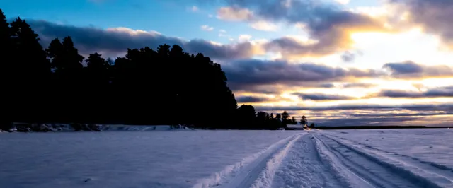 Lahtiolekuajad Eesti Vabariigi aastapäeval